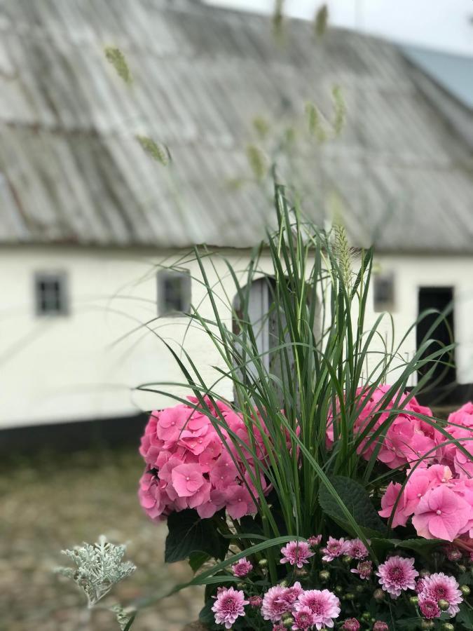 Landligt Ophold Pa Midtgard Apartment Vamdrup Exterior foto